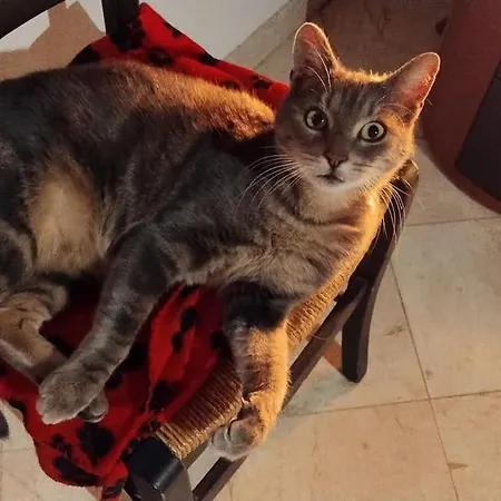 Sejour Et Weekend En Famille Chez L'habitant, Longere Berceenne, 2 4 Pers, Possibilite Rajout Berceau Et 1 Lit Single Soit 6 Pers Maxi *