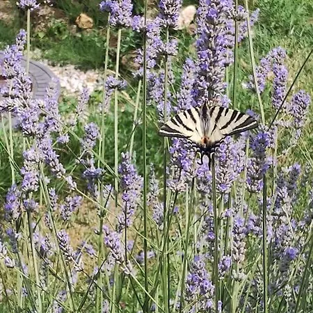 Sejour Et Weekend En Famille Chez L'habitant, Longere Berceenne, 2 4 Pers, Possibilite Rajout Berceau Et 1 Lit Single Soit 6 Pers Maxi Oda ve Kahvaltı
