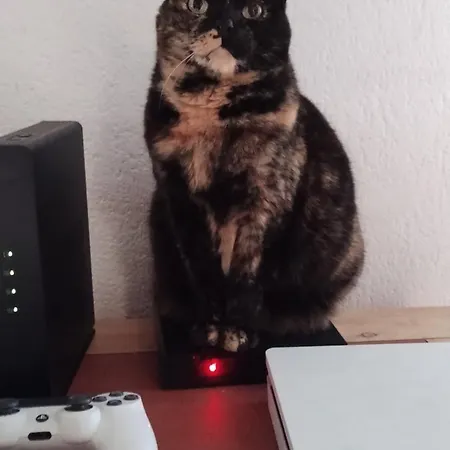 Sejour Et Weekend En Famille Chez L'habitant, Longere Berceenne, 2 4 Pers, Possibilite Rajout Berceau Et 1 Lit Single Soit 6 Pers Maxi *